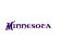 Vikings Store